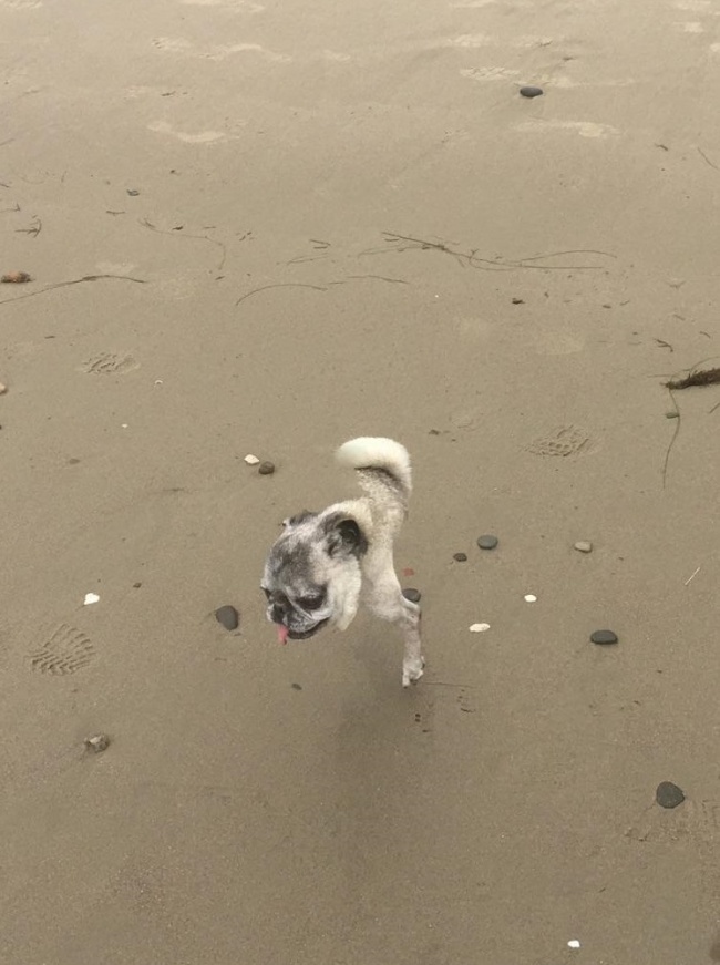 Funny Panoramic Photos (18 pics)