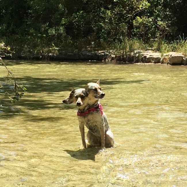 Funny Panoramic Photos (18 pics)