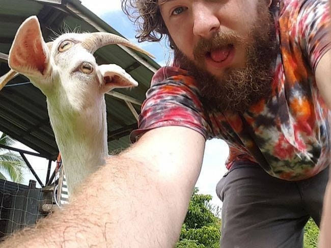 Funny Panoramic Photos (18 pics)