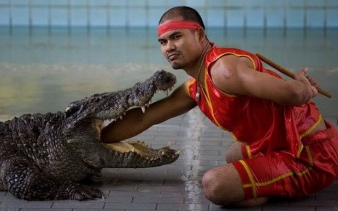 They Don't Care About Safety (23 pics)