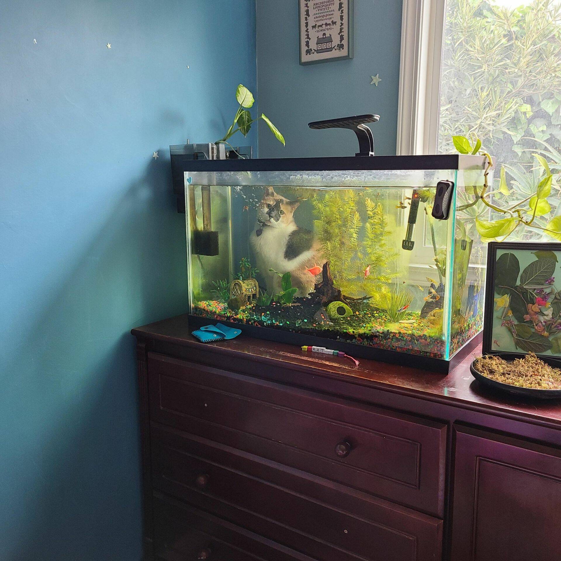 Daily Pictures. Part 2 (61 pics)