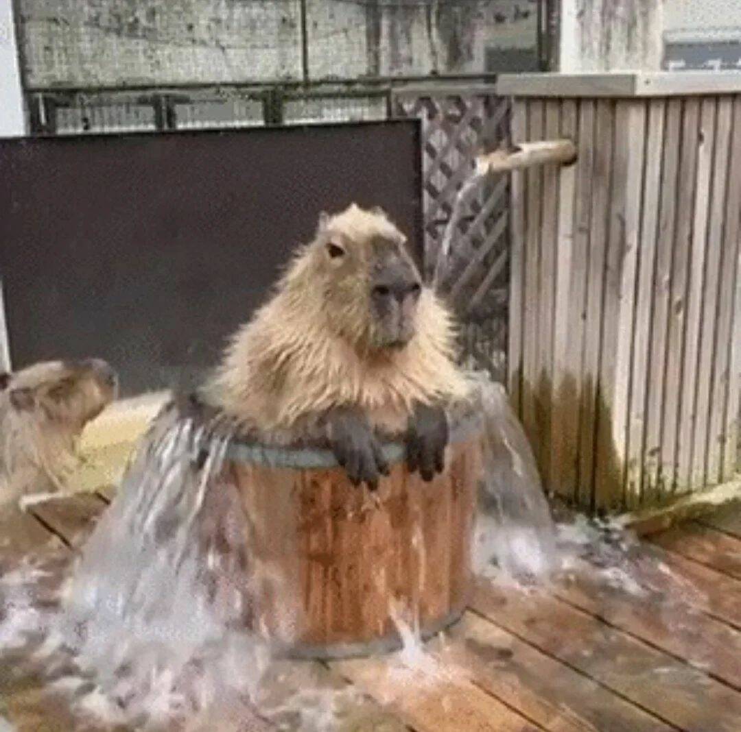 Daily Pictures. Part 2 (61 pics)