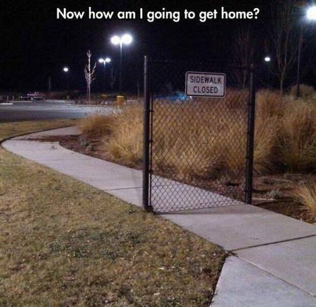 Daily Pictures. Part 2 (61 pics)