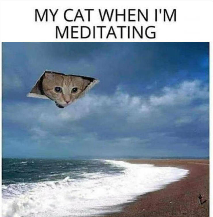 Daily Pictures. Part 2 (61 pics)