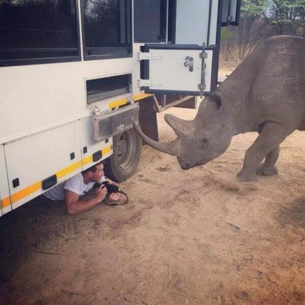 Daily Pictures. Part 2 (61 pics)