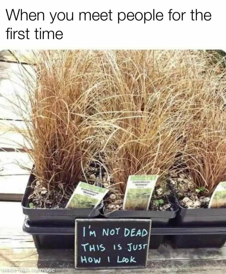 Daily Pictures. Part 2 (61 pics)