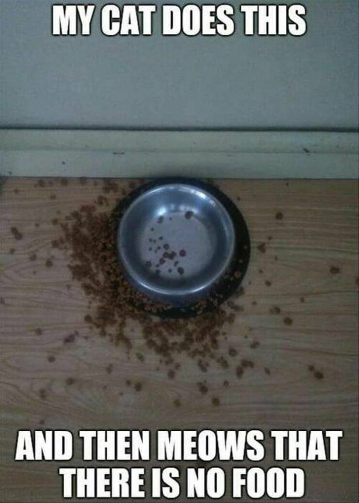 Daily Pictures. Part 2 (61 pics)