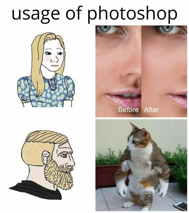 Daily Pictures. Part 2 (61 pics)