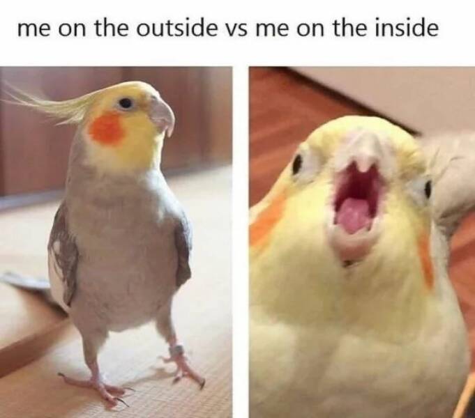 Daily Pictures. Part 2 (61 pics)