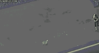 Acid GIFs, October 23 (25 gifs) Acid GIFs, October 23 (25 gifs)