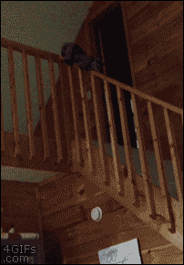Acid GIFs, October 23 (25 gifs) Acid GIFs, October 23 (25 gifs)
