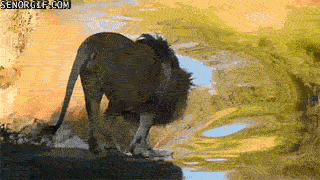 Acid GIFs, October 23 (25 gifs) Acid GIFs, October 23 (25 gifs)