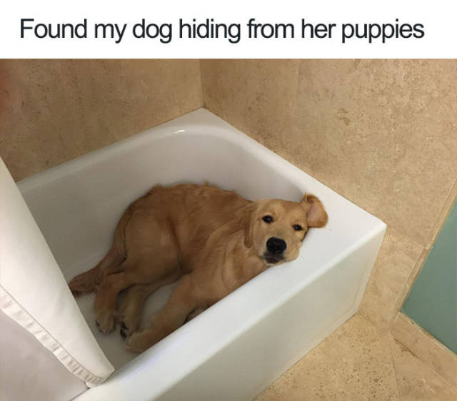 Daily Pictures. Part 2 (66 pics)