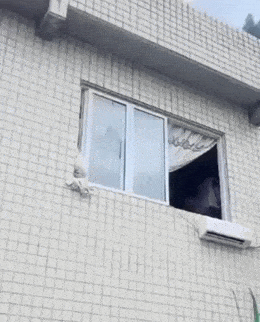 Acid GIFs, October 24 (25 gifs) Acid GIFs, October 24 (25 gifs)