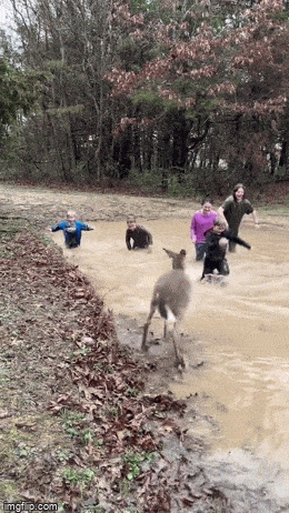 Acid GIFs, October 24 (25 gifs) Acid GIFs, October 24 (25 gifs)