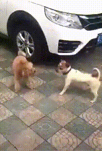 Acid GIFs, October 24 (25 gifs) Acid GIFs, October 24 (25 gifs)
