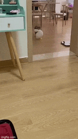 Acid GIFs, October 24 (25 gifs) Acid GIFs, October 24 (25 gifs)