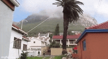 Acid GIFs, October 24 (25 gifs) Acid GIFs, October 24 (25 gifs)