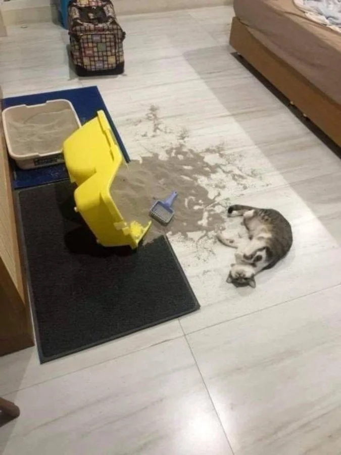 Funny Pets (20 pics)