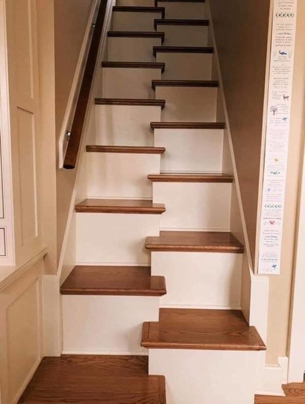 What Is Going On Here? (24 pics) What Is Going On Here? (24 pics)