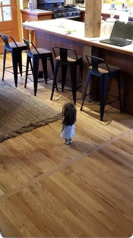 What Is Going On Here? (24 pics) What Is Going On Here? (24 pics)