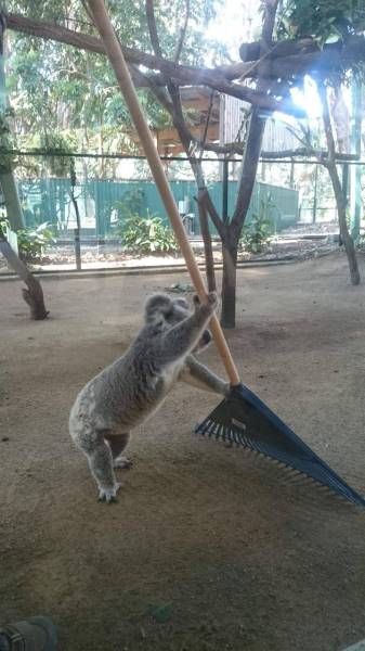 Daily Pictures. Part 1 (67 pics) Daily Pictures. Part 1 (67 pics)