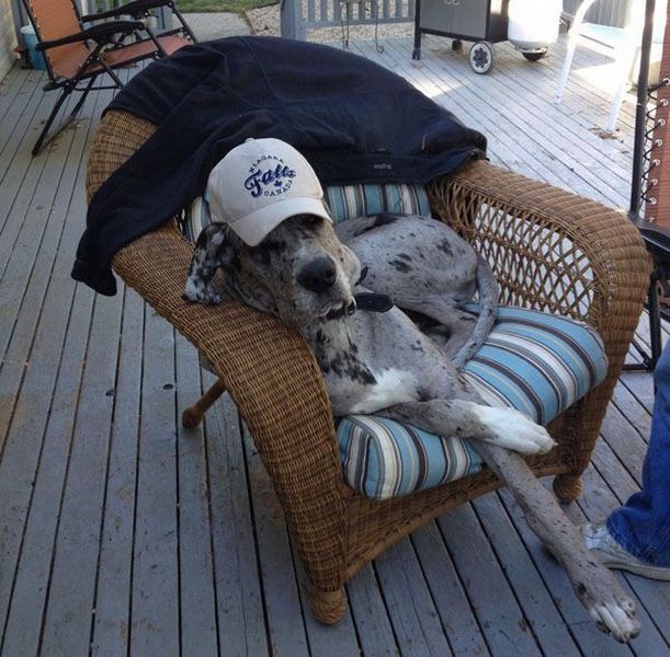 Daily Pictures. Part 1 (67 pics) Daily Pictures. Part 1 (67 pics)