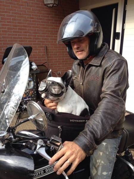 Daily Pictures. Part 1 (67 pics) Daily Pictures. Part 1 (67 pics)