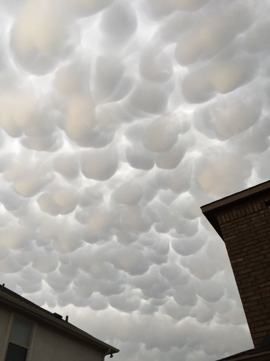 Daily Pictures. Part 1 (67 pics) Daily Pictures. Part 1 (67 pics)