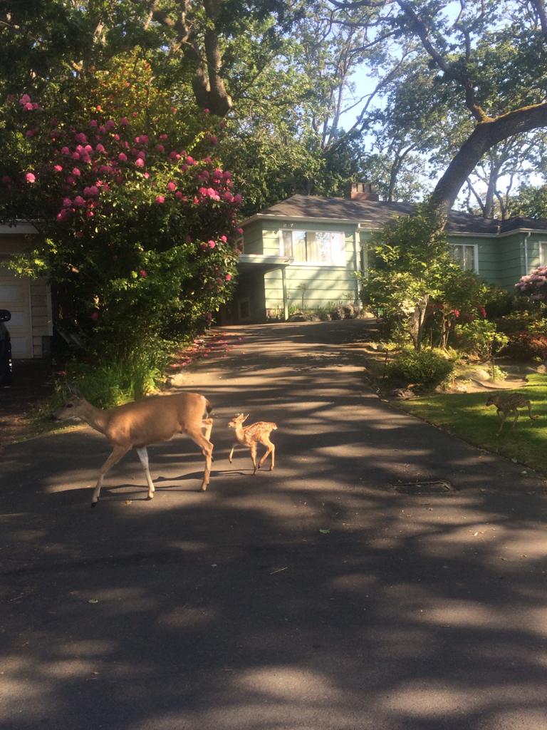 Daily Pictures. Part 1 (67 pics) Daily Pictures. Part 1 (67 pics)