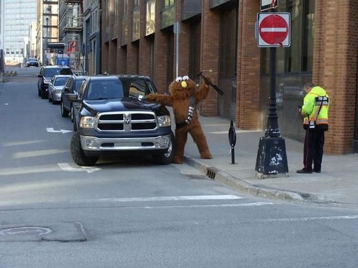 Daily Pictures. Part 1 (67 pics) Daily Pictures. Part 1 (67 pics)