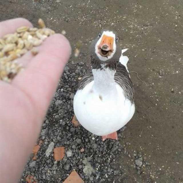 Daily Pictures. Part 1 (67 pics) Daily Pictures. Part 1 (67 pics)