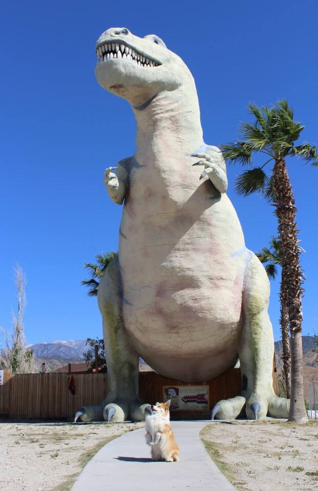 Daily Pictures. Part 1 (67 pics) Daily Pictures. Part 1 (67 pics)