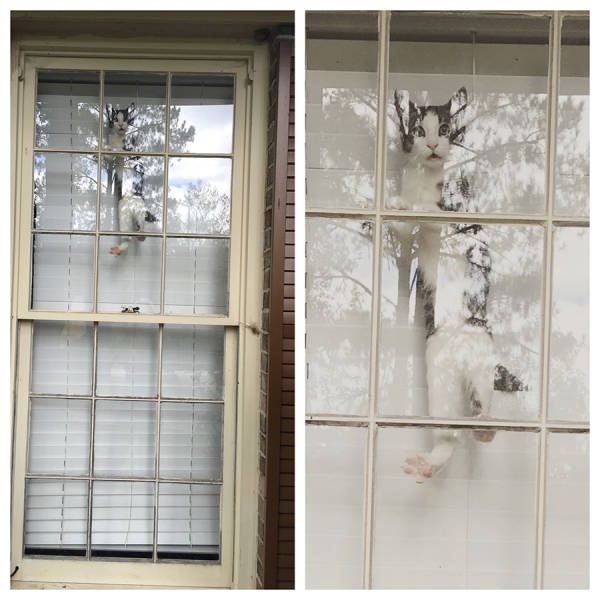 Daily Pictures. Part 1 (67 pics) Daily Pictures. Part 1 (67 pics)