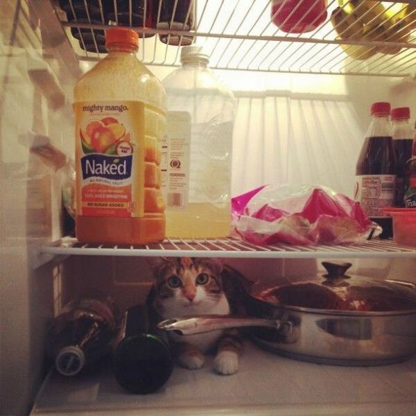 Daily Pictures. Part 1 (67 pics) Daily Pictures. Part 1 (67 pics)