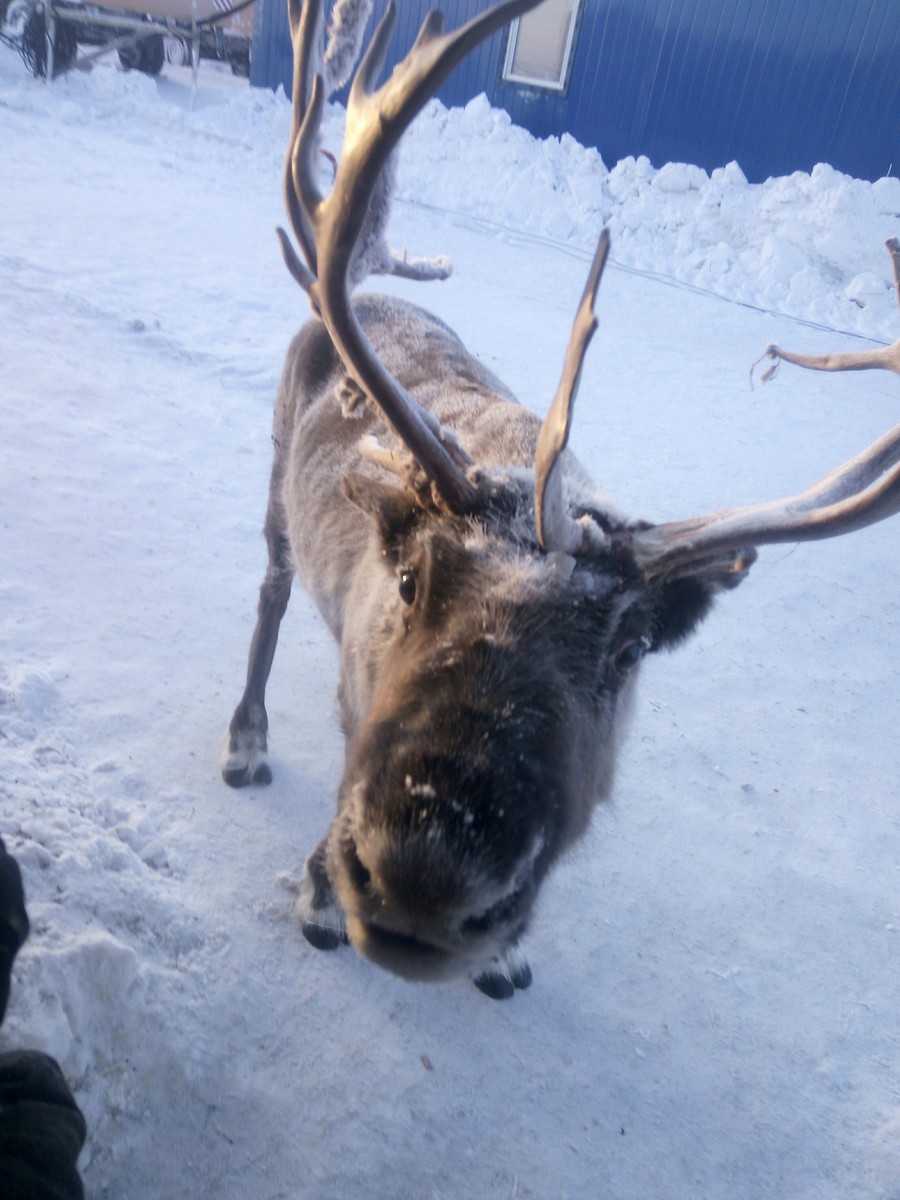 Daily Pictures. Part 1 (67 pics) Daily Pictures. Part 1 (67 pics)