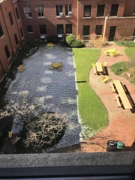 Daily Pictures. Part 1 (67 pics) Daily Pictures. Part 1 (67 pics)