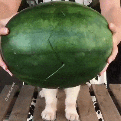 Acid GIFs, October 27 (25 gifs)