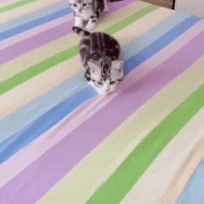 Acid GIFs, October 27 (25 gifs)