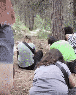 Acid GIFs, October 27 (25 gifs)