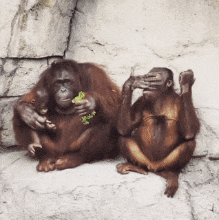 Acid GIFs, October 27 (25 gifs)