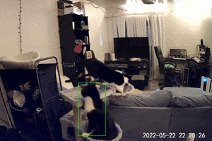 Acid GIFs, October 27 (25 gifs)
