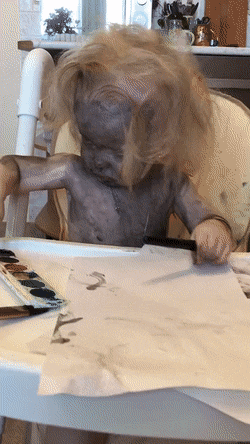 Acid GIFs, October 27 (25 gifs)