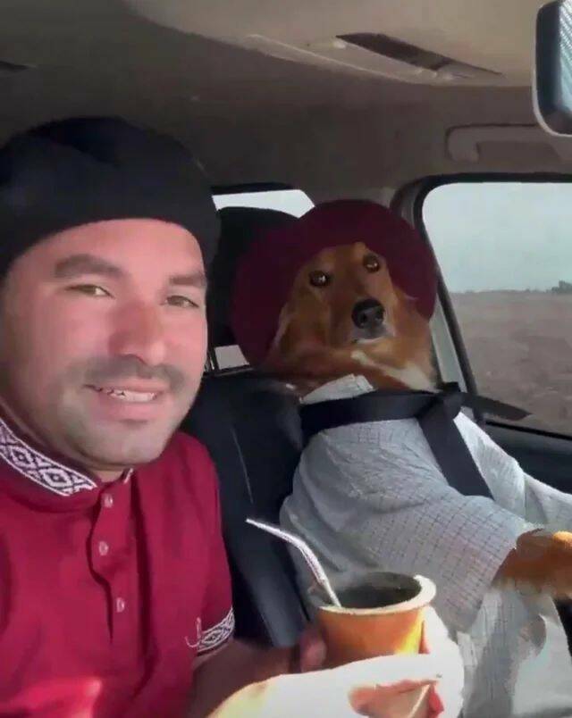 Daily Pictures. Part 1 (66 pics) Daily Pictures. Part 1 (66 pics)