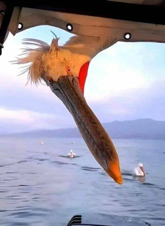 Daily Pictures. Part 1 (66 pics) Daily Pictures. Part 1 (66 pics)