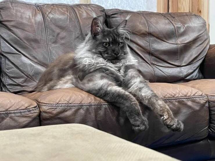 Daily Pictures. Part 1 (66 pics) Daily Pictures. Part 1 (66 pics)