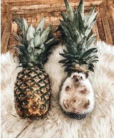 Daily Pictures. Part 1 (66 pics) Daily Pictures. Part 1 (66 pics)