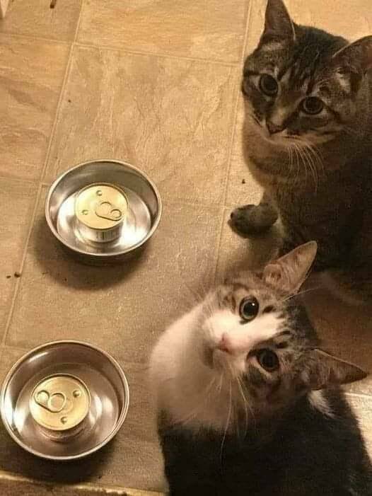 Daily Pictures. Part 1 (66 pics) Daily Pictures. Part 1 (66 pics)