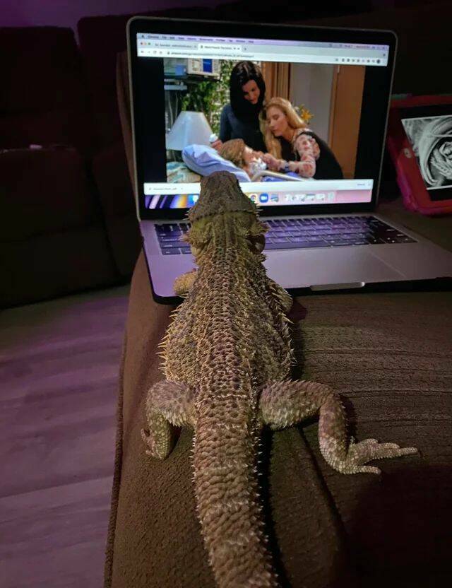 Daily Pictures. Part 1 (66 pics) Daily Pictures. Part 1 (66 pics)