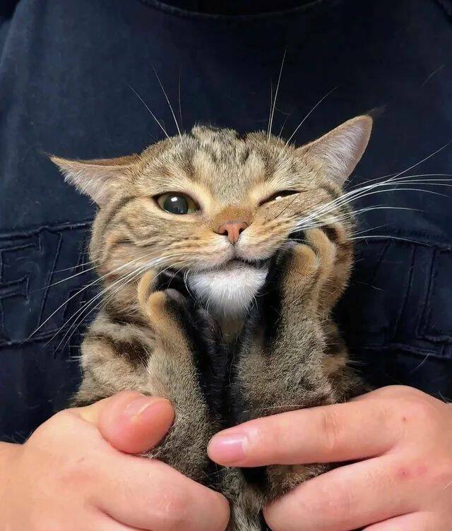 Daily Pictures. Part 1 (66 pics) Daily Pictures. Part 1 (66 pics)